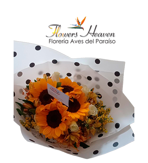 BQ23- girasoles puntitos.jpg